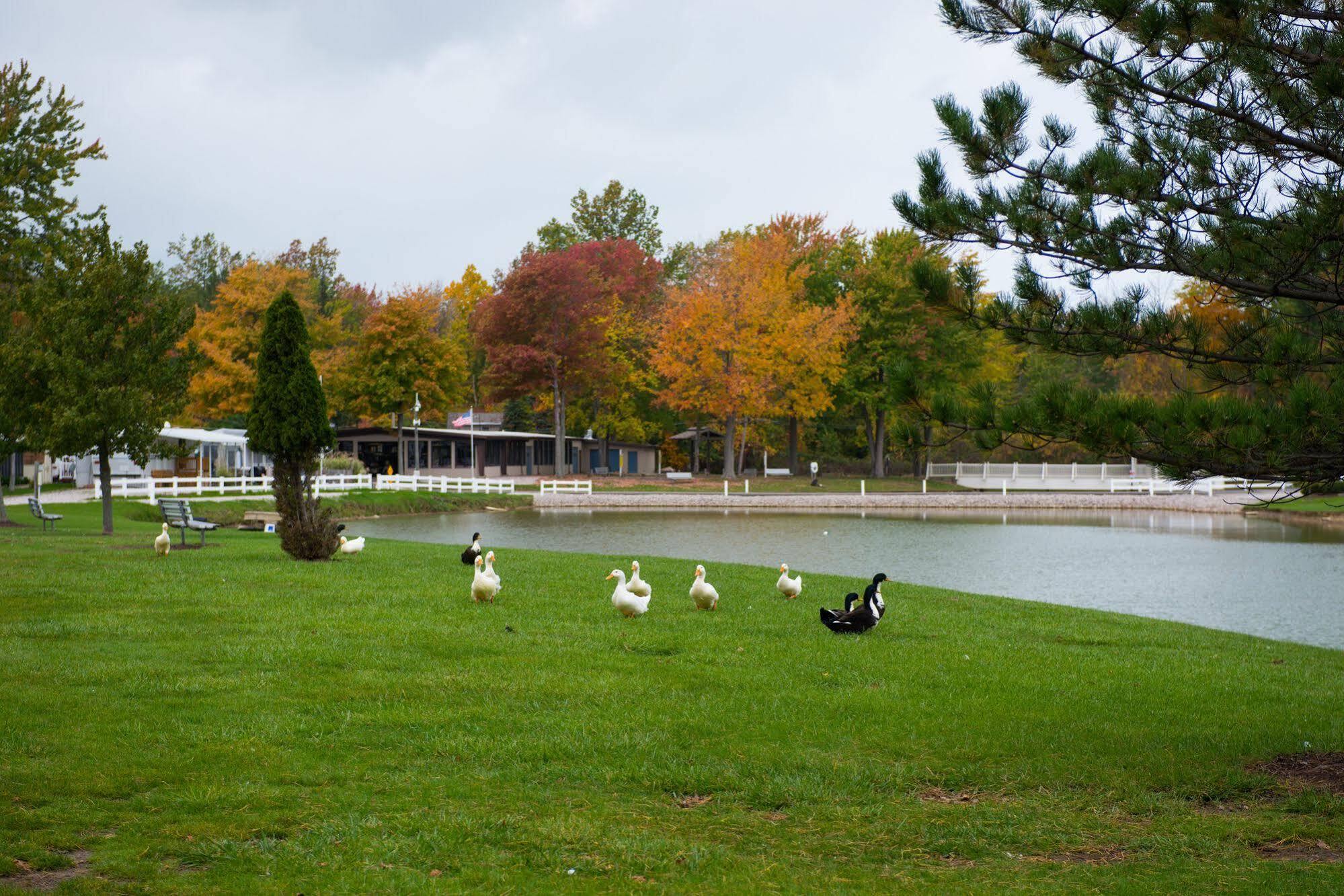 Sun Retreats Geneva On The Lake Εξωτερικό φωτογραφία